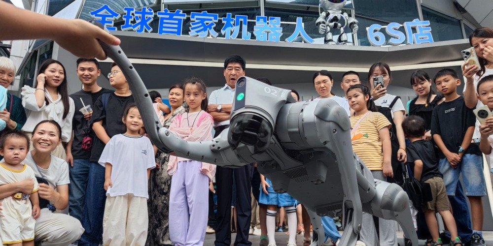 Robot 6S Store with humanoid robots